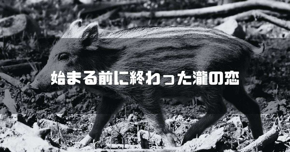 うり坊を背景に「始まる前に終わった瀧の恋」というキャッチコピーを重ねた見出し