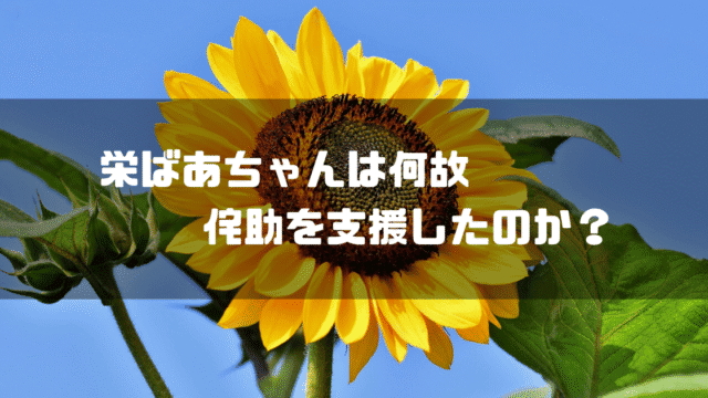 ひまわりを背景に「栄ばあちゃんは何故　侘助を支援したのか？」というタイトル文字を重ねたアイキャッチ