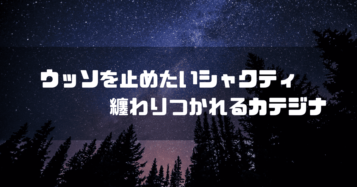 夜空を背景に「ウッソを止めたいシャクティ 纏わりつかれるカテジナ」というキャッチコピーを重ねた見出し