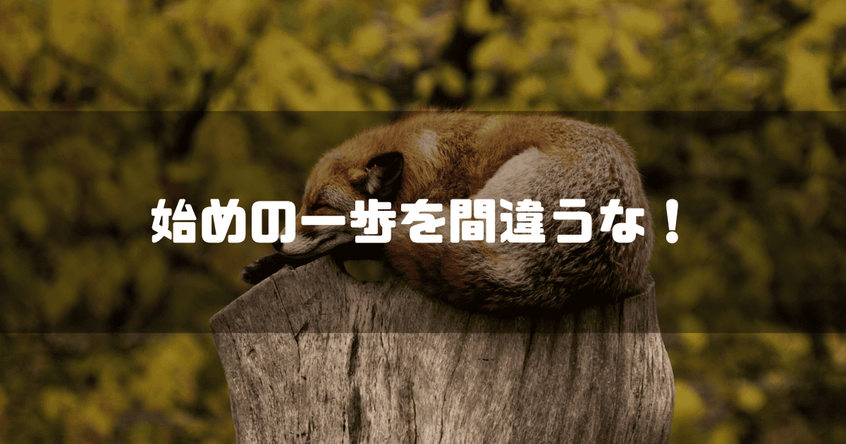 眠る狐を背景に「始めの一歩を間違うな!」というキャッチコピーを重ねた見出し