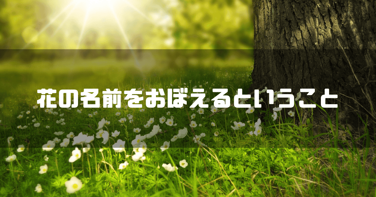 野に咲く花を背景に「花の名前をおぼえるということ」というキャッチコピーを重ねた見出し